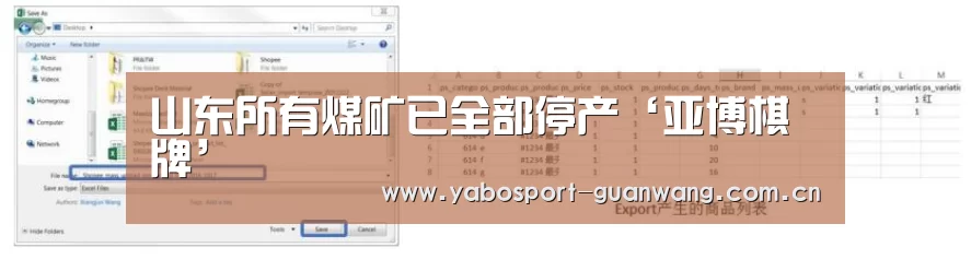 山东所有煤矿已全部停产‘亚博棋牌’(图3) 亚博首页