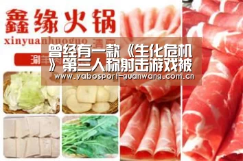 曾经有一款《生化危机》第三人称射击游戏被取消:亚博登录(图1) 亚博娱乐