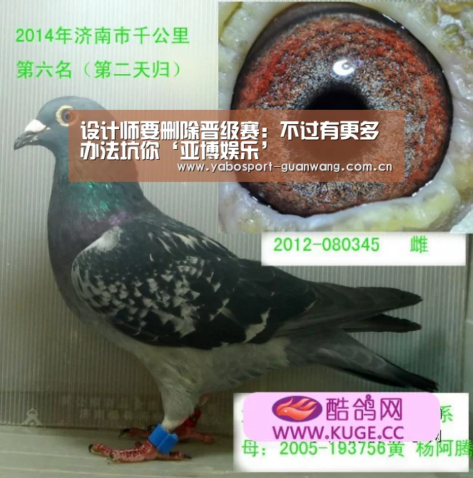 亚博棋牌