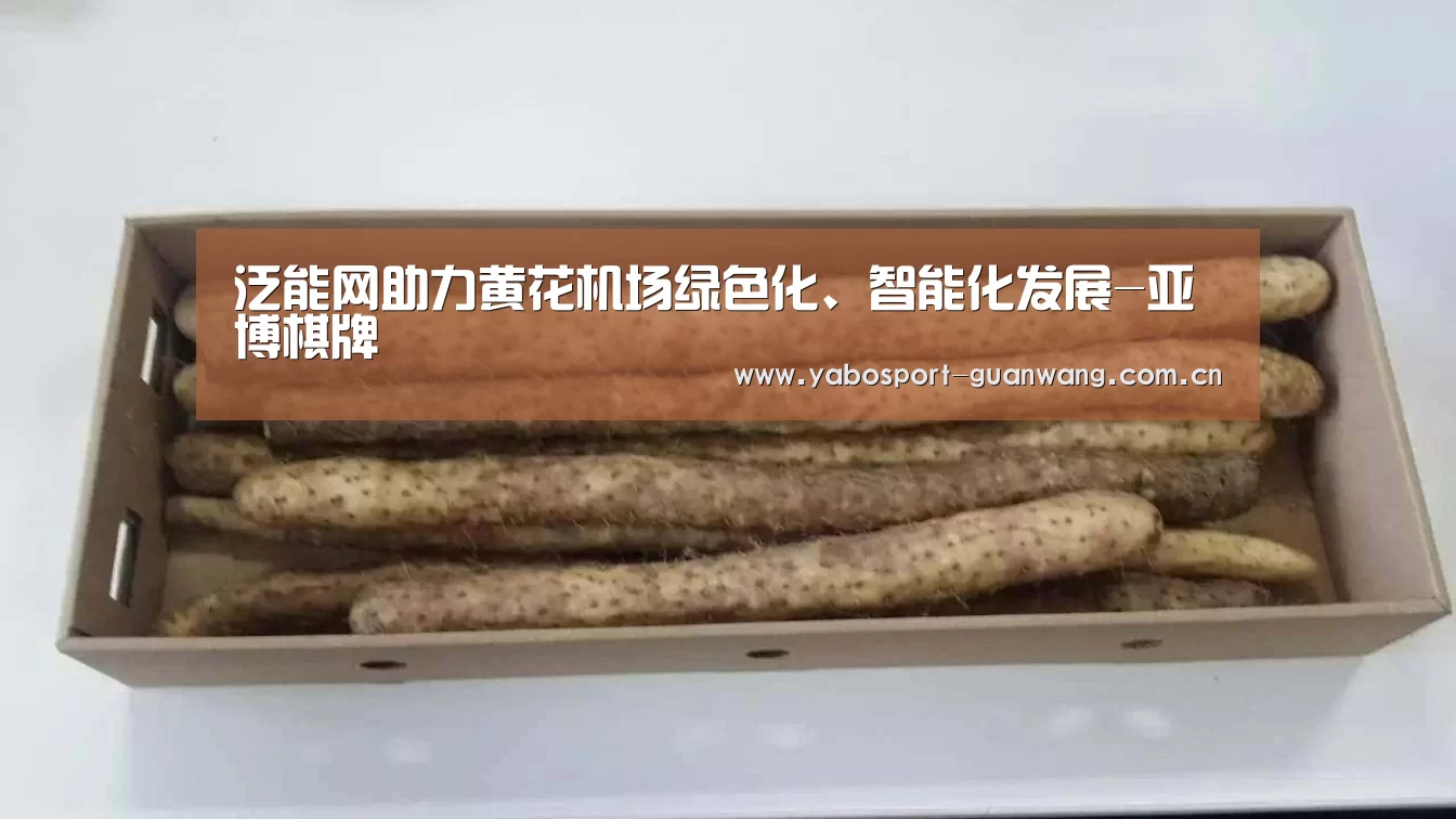 泛能网助力黄花机场绿色化、智能化发展-亚博棋牌(图1) 亚博首页