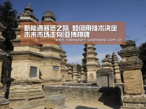新能源寒冬之际 如何用技术决定未来市场走向|亚博棋牌(图1) 亚博棋牌