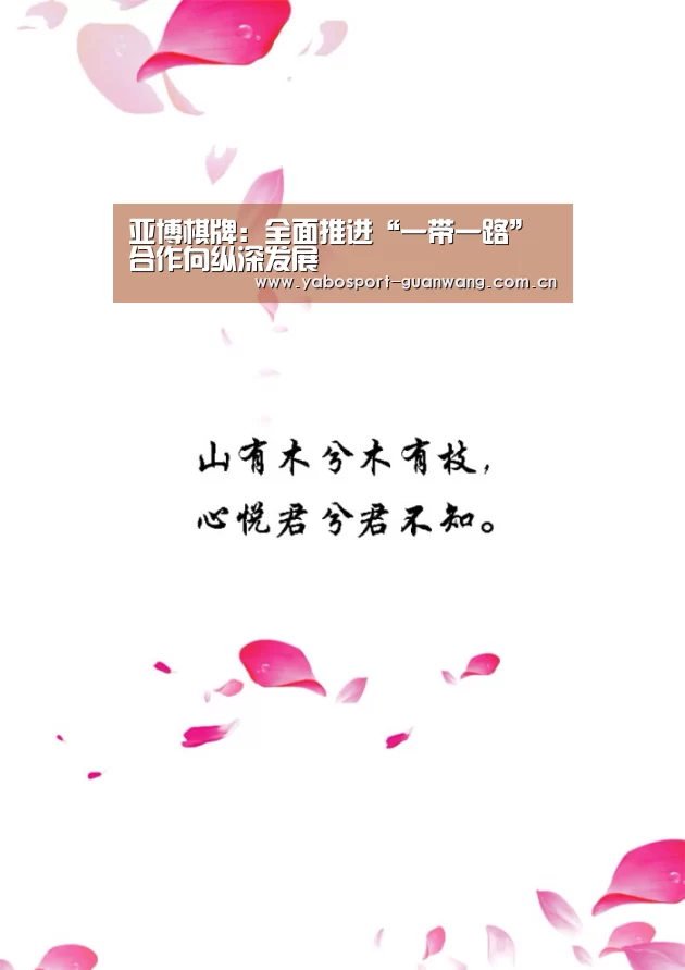 亚博棋牌:全面推进“一带一路”合作向纵深发展(图3) 亚博登录