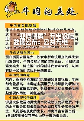 ‘亚博棋牌’充电设施数据公布：公共充电桩突破50万