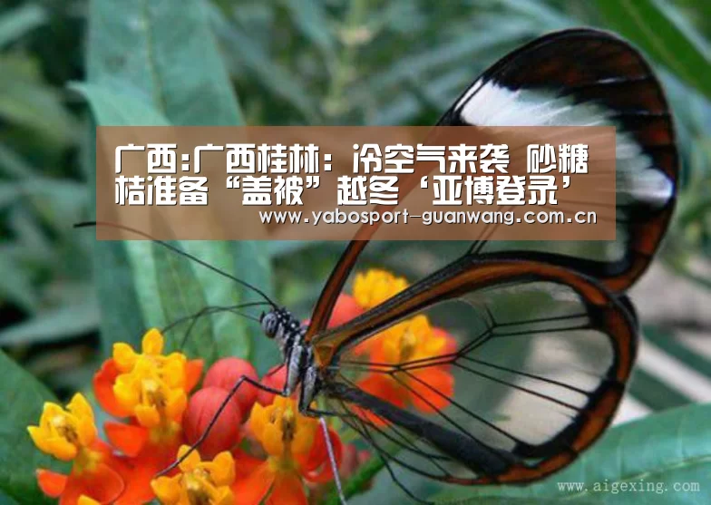 亚博登录